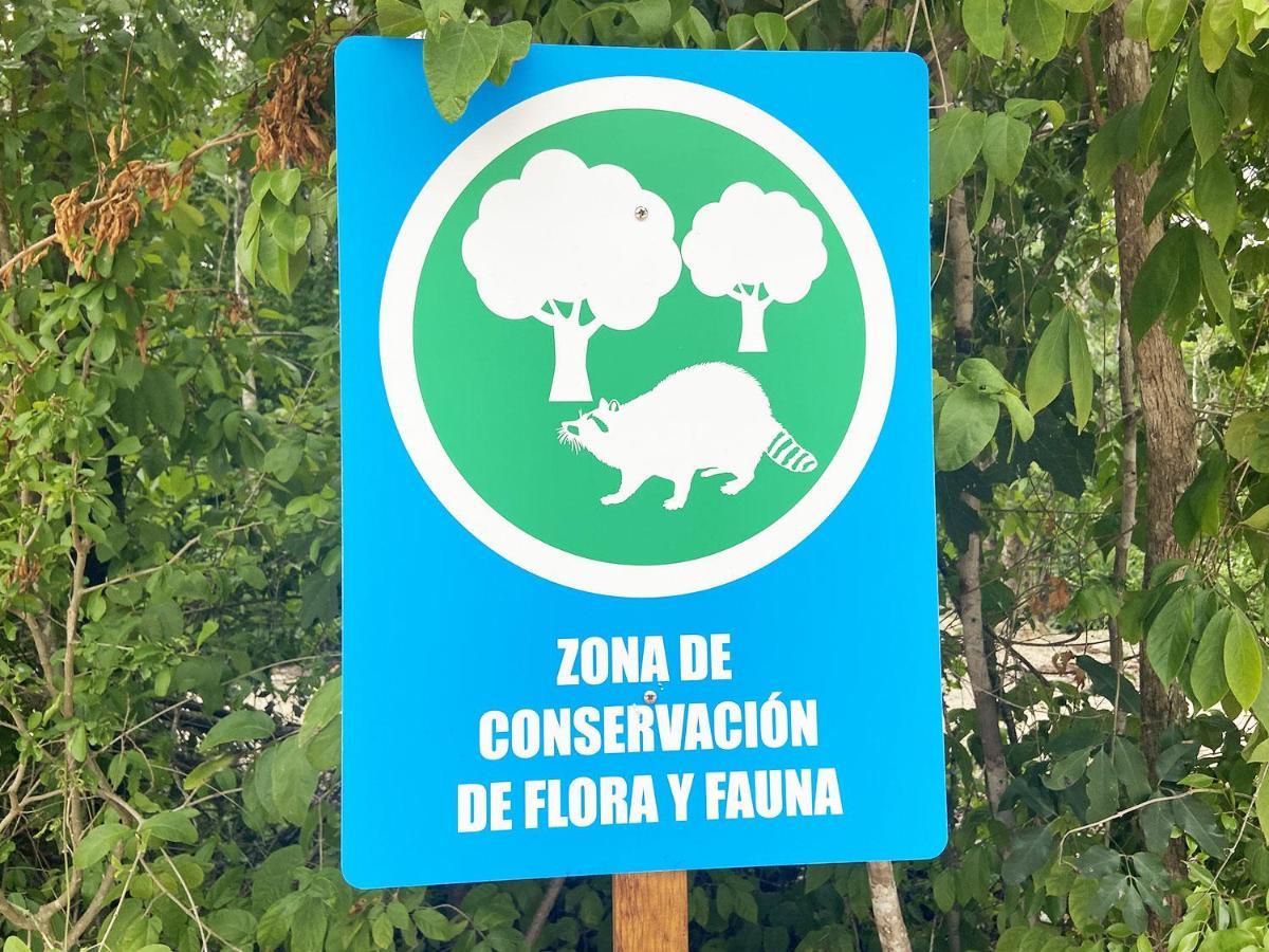 En Jardines De Mayakoba - Alberca&parking