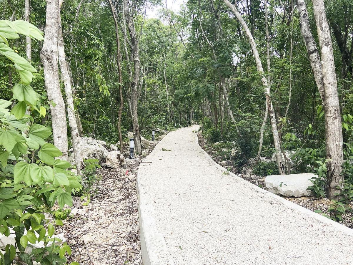 En Jardines De Mayakoba - Alberca&parking Apartamento
